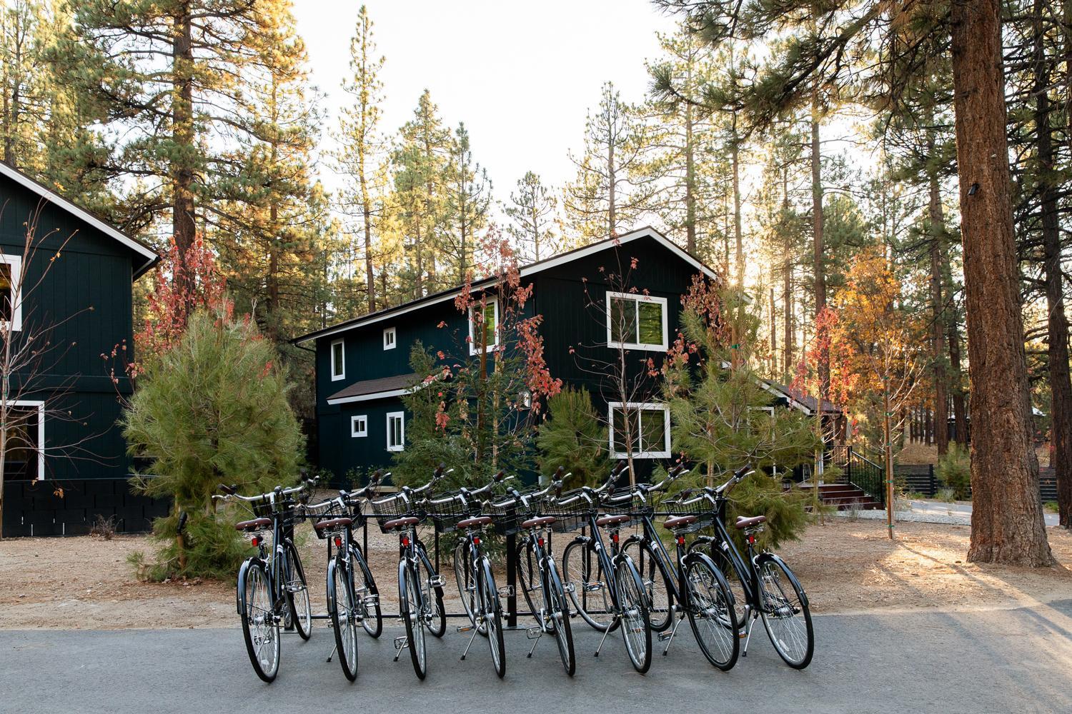 Np Boutique Lodge Big Bear Lake Buitenkant foto